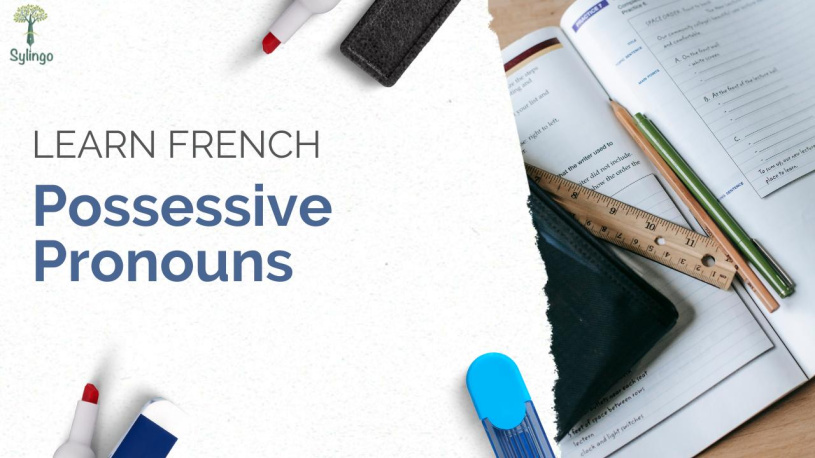 Possessive Pronouns in French