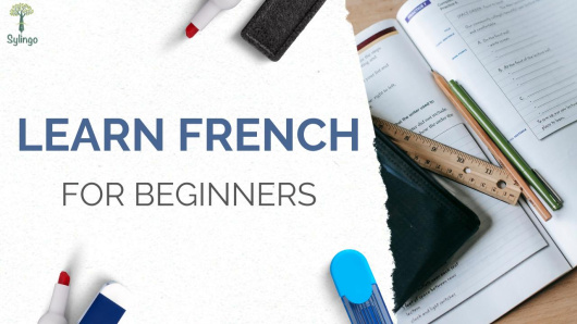 learn-french-for-beginners