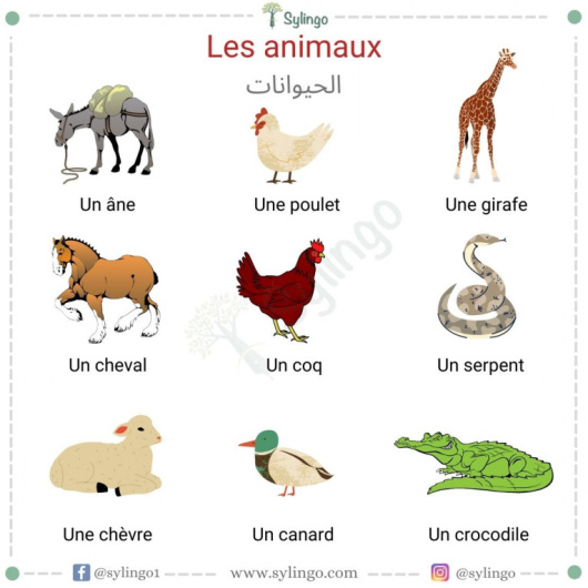 Les animaux