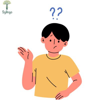 French grammar