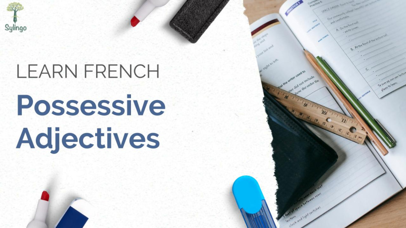 Possessive Adjectives in French