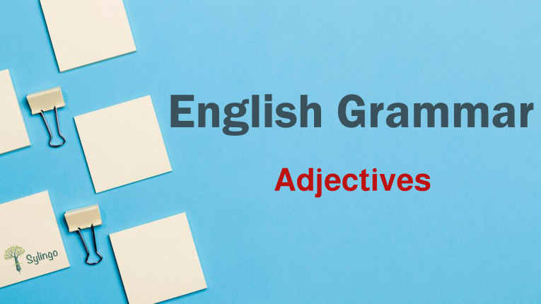 Not always put -s to make a plural word. That's what we call irregular  nouns. Can you give any other examples? Comment below!